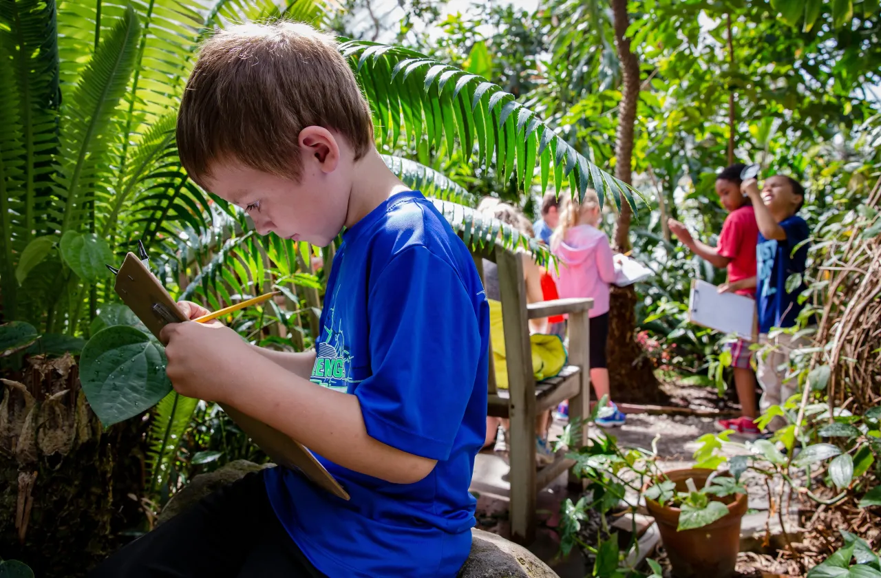 A young boy holds a clipboard and writes something in the Botanic Garden of Smith College, surrounded by ferns and other children.