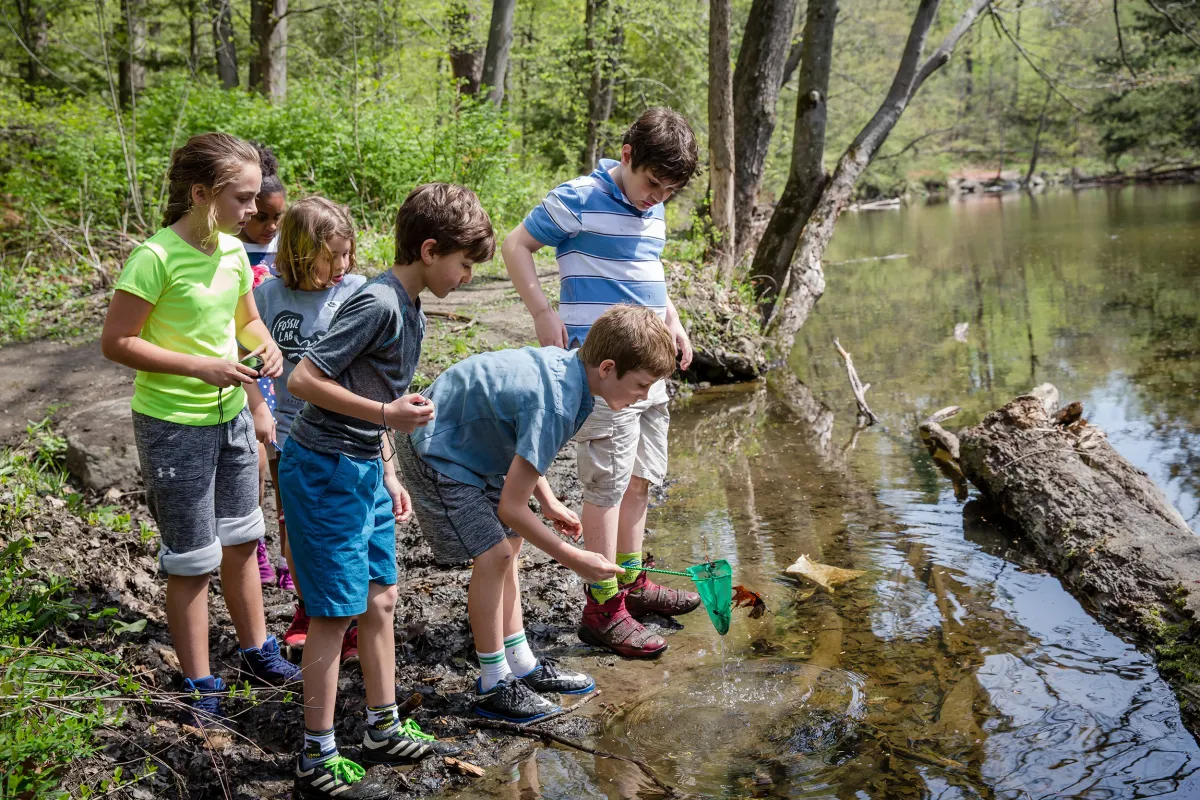 A group of schoolchildren standing at the edge of the Mill River with nets.