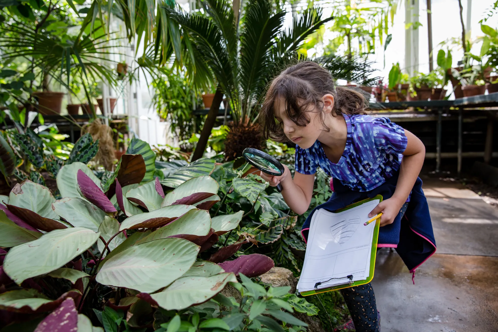 A young girl crouches down with a magnifying glass to look at a plant in the Smith College Botanic Garden.